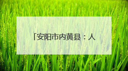 安阳市内黄县：人居环境整治进行时