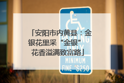 安阳市内黄县：金银花里采“金银” 花香溢满致富路