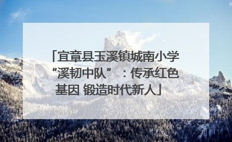 宜章县玉溪镇城南小学“溪韧中队”：传承红色基因 锻造时代新人