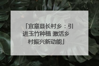 宜章县长村乡：引进玉竹种植 激活乡村振兴新动能