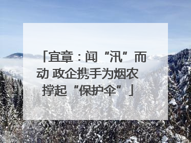 宜章：闻“汛”而动 政企携手为烟农撑起“保护伞”