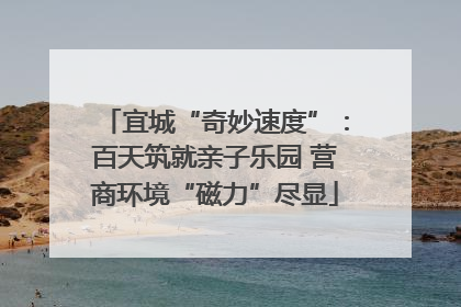 宜城“奇妙速度”：百天筑就亲子乐园 营商环境“磁力”尽显