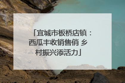 宜城市板桥店镇：西瓜丰收销售俏 乡村振兴添活力