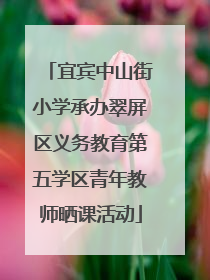 宜宾中山街小学承办翠屏区义务教育第五学区青年教师晒课活动