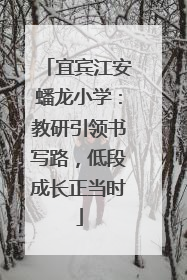 宜宾江安蟠龙小学：教研引领书写路，低段成长正当时
