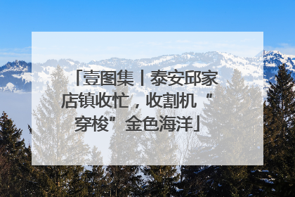壹图集丨泰安邱家店镇收忙，收割机“穿梭”金色海洋