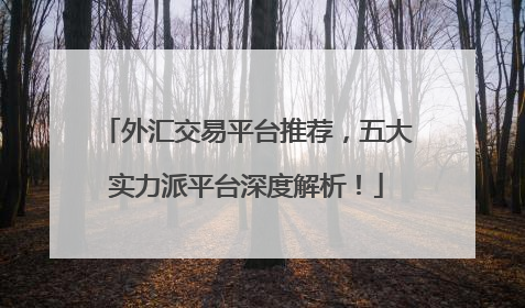 外汇交易平台推荐，五大实力派平台深度解析！