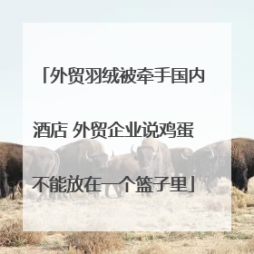 外贸羽绒被牵手国内酒店 外贸企业说鸡蛋不能放在一个篮子里