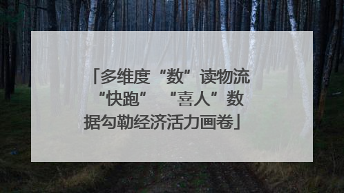 多维度“数”读物流“快跑” “喜人”数据勾勒经济活力画卷