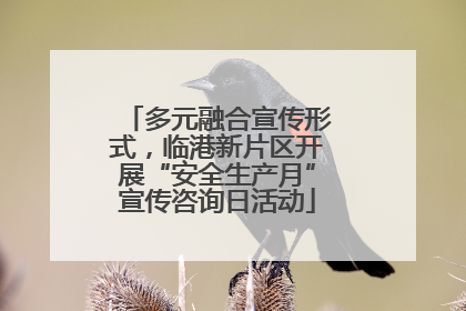 多元融合宣传形式，临港新片区开展“安全生产月”宣传咨询日活动