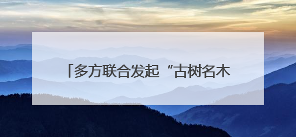 多方联合发起“古树名木保护计划”，推动绿色消费成为潮流丨新经济观察