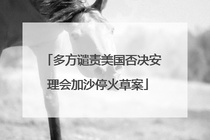 多方谴责美国否决安理会加沙停火草案