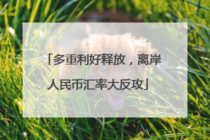 多重利好释放，离岸人民币汇率大反攻