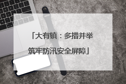 大有镇：多措并举筑牢防汛安全屏障