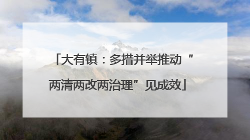 大有镇：多措并举推动“两清两改两治理”见成效