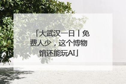 大武汉一日丨免费人少，这个博物馆还能玩AI