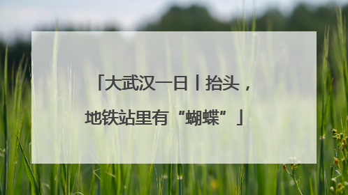 大武汉一日丨抬头，地铁站里有“蝴蝶”