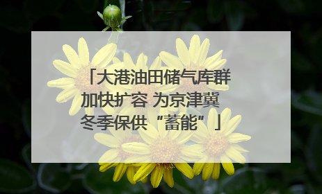 大港油田储气库群加快扩容 为京津冀冬季保供“蓄能”
