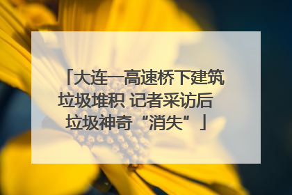 大连一高速桥下建筑垃圾堆积 记者采访后垃圾神奇“消失”