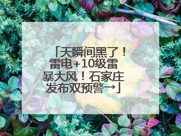 天瞬间黑了！雷电+10级雷暴大风！石家庄发布双预警→