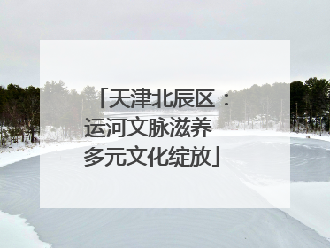 天津北辰区：运河文脉滋养 多元文化绽放