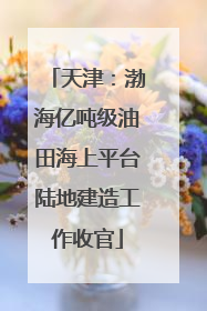 天津：渤海亿吨级油田海上平台陆地建造工作收官