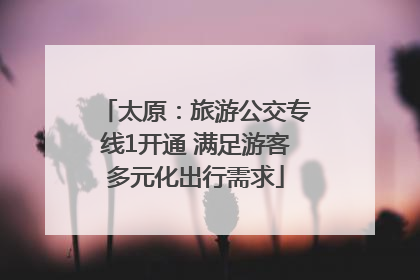 太原：旅游公交专线1开通 满足游客多元化出行需求