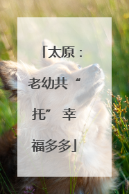 太原：老幼共“托” 幸福多多
