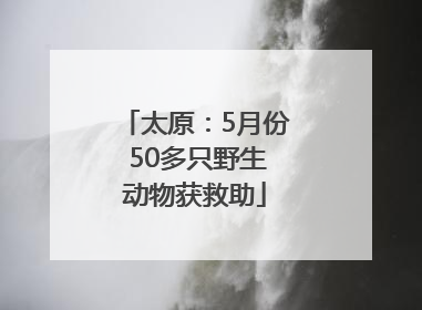 太原：5月份 50多只野生动物获救助