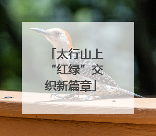 太行山上“红绿”交织新篇章
