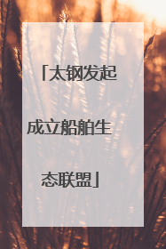 太钢发起成立船舶生态联盟