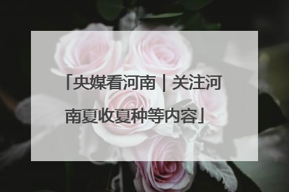 央媒看河南｜关注河南夏收夏种等内容