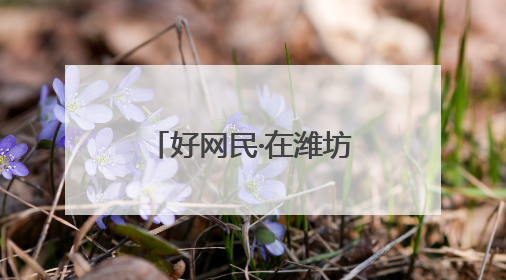 好网民·在潍坊｜袁坤：深耕潍坊文化，让老故事遇见新传播