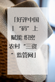 好评中国丨“码”上赋能 织密农村“三资”监管网