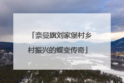 奈曼旗刘家堡村乡村振兴的蝶变传奇