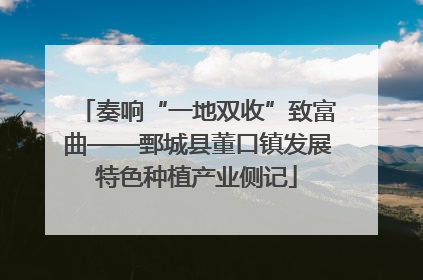 奏响“一地双收”致富曲——鄄城县董口镇发展特色种植产业侧记