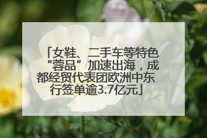 女鞋、二手车等特色“蓉品”加速出海，成都经贸代表团欧洲中东行签单逾3.7亿元