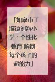 如皋市丁堰镇刘海小学：个性化教育 解锁每个孩子的超能力