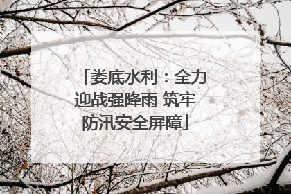 娄底水利：全力迎战强降雨 筑牢防汛安全屏障