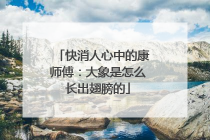 快消人心中的康师傅：大象是怎么长出翅膀的