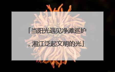 当阳光遇见净滩巡护，湘江泛起文明的光
