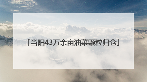 当阳43万余亩油菜颗粒归仓