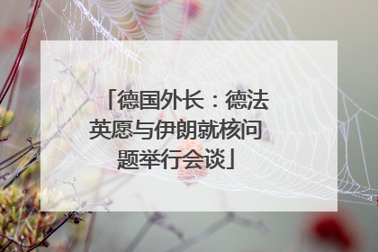 德国外长：德法英愿与伊朗就核问题举行会谈
