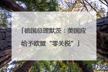 德国总理默茨：美国应给予欧盟“零关税”