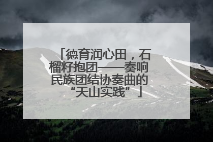 德育润心田，石榴籽抱团——奏响民族团结协奏曲的“天山实践”