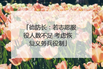 德防长：若志愿服役人数不足 考虑恢复义务兵役制