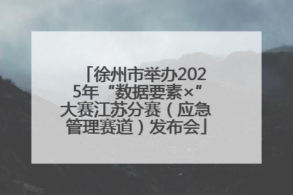 徐州市举办2025年“数据要素×”大赛江苏分赛（应急管理赛道）发布会