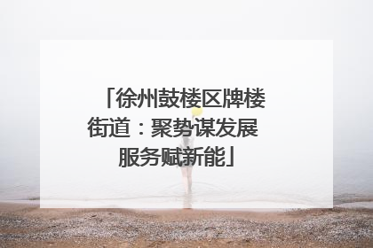 徐州鼓楼区牌楼街道：聚势谋发展 服务赋新能