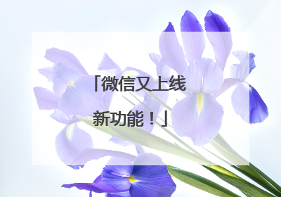 微信又上线新功能！