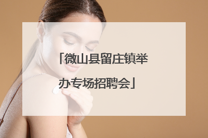 微山县留庄镇举办专场招聘会